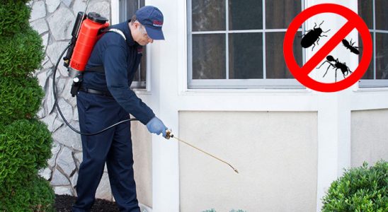 Oğuzlar Kene İlaçlama böcek ilaçlama ve haşere kontrolü — ilaclama-tr.com